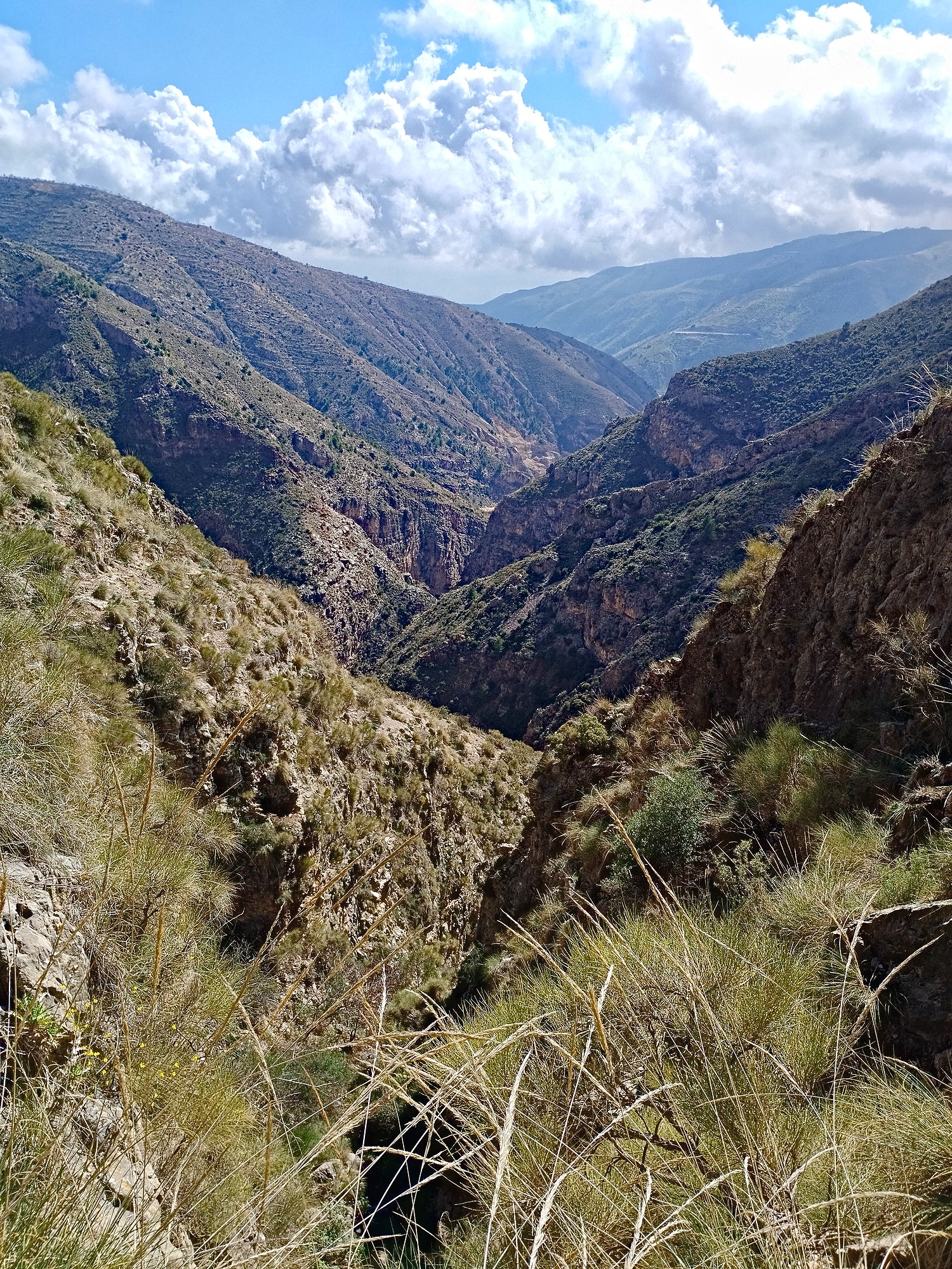 Foto Barranco Cueva Balcones